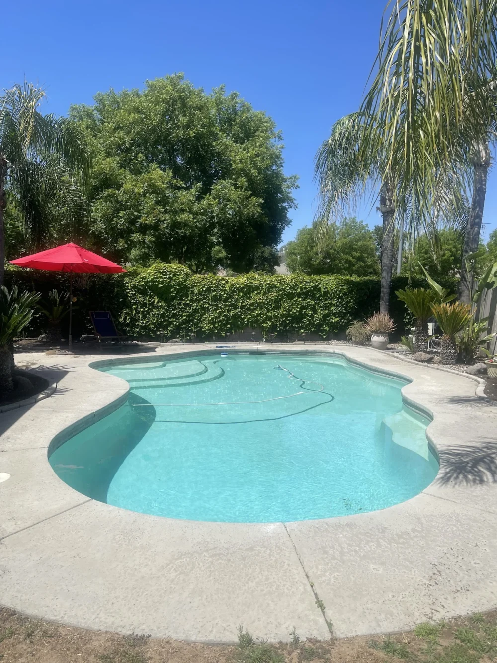 Cox Pool Services & Repair