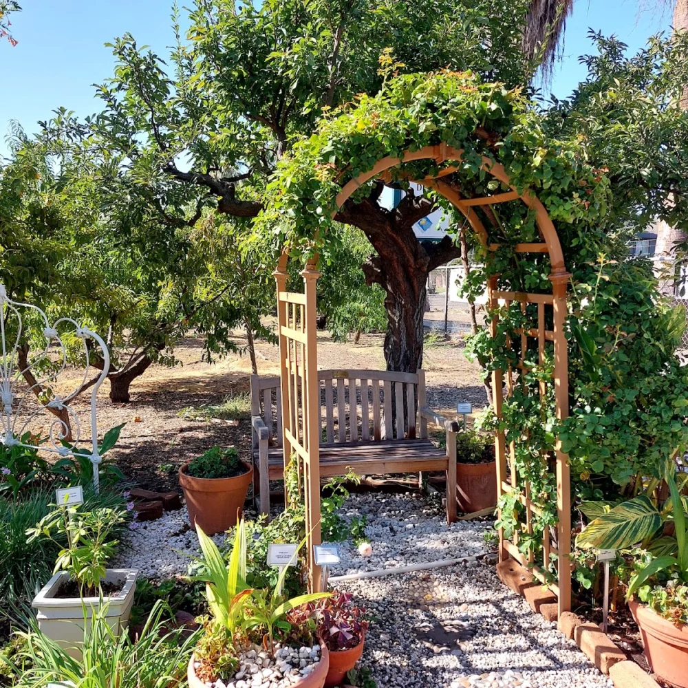Garden of the Sun