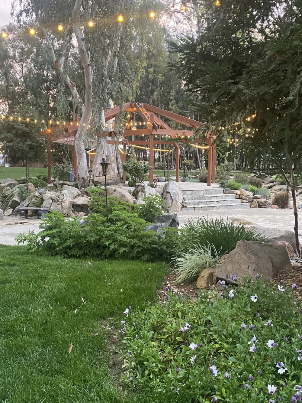 Starlight Grove Events