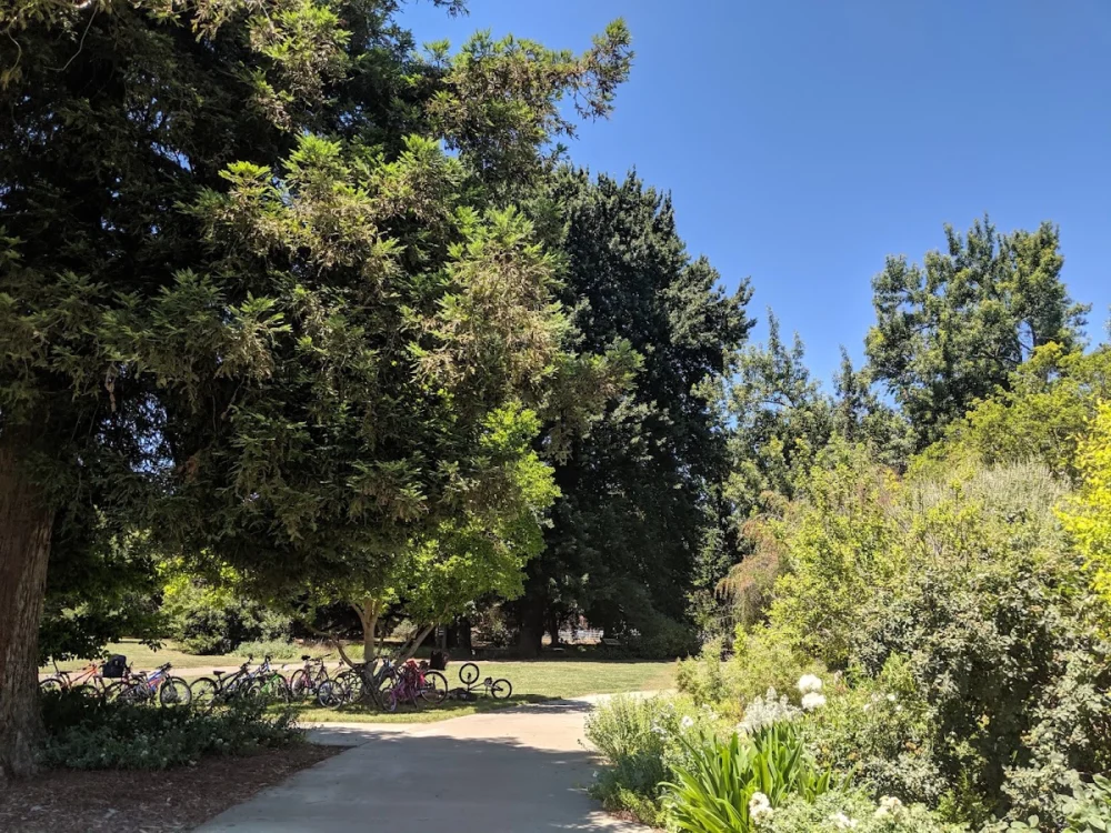 University of California, Davis
