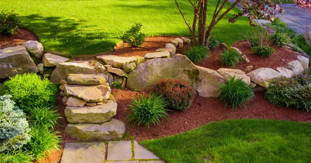 Willow Glen Gardening
